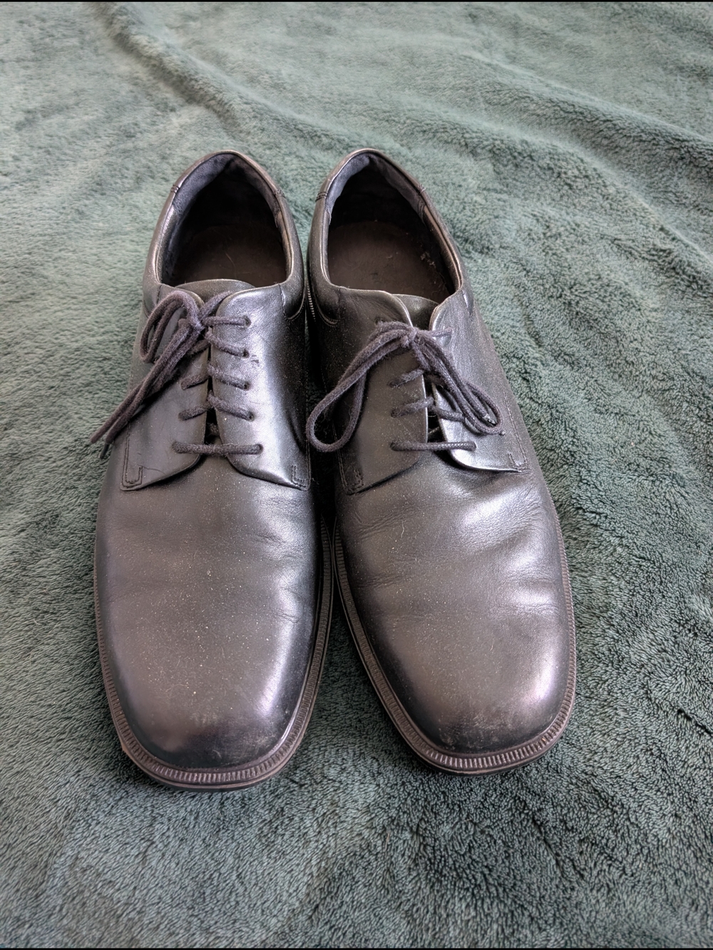Rockport Men's Lace-Up Oxfords